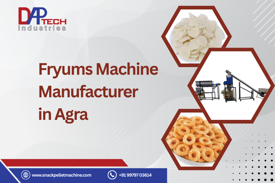 Fryums Machine Manufacturer in Agra