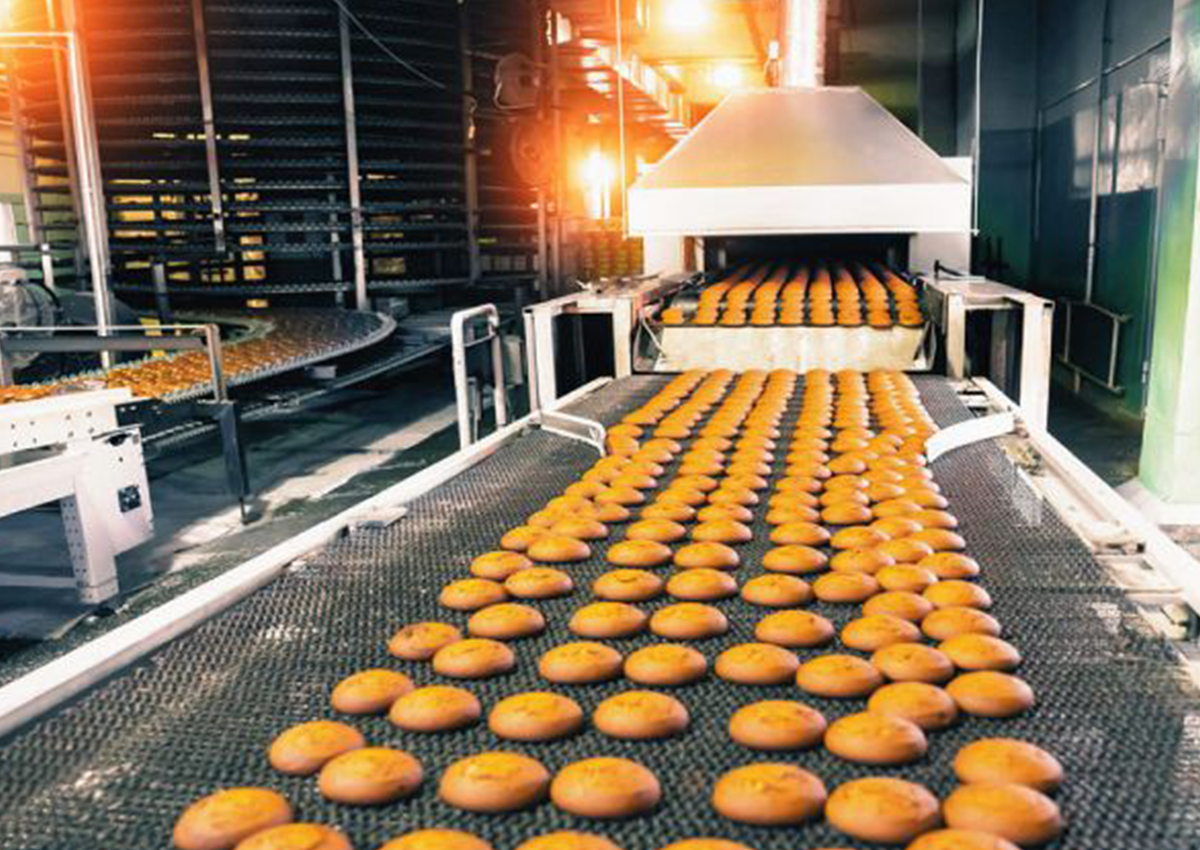 Food Processing Industry